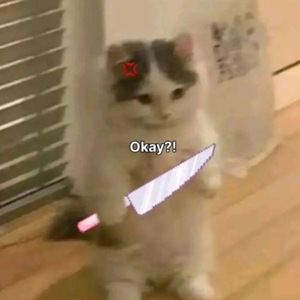 meme mèo cầm dao (19)
