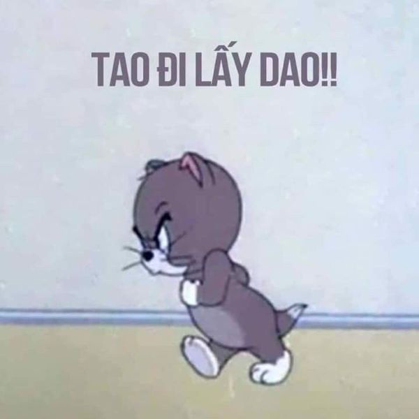 meme mèo cầm dao (22)