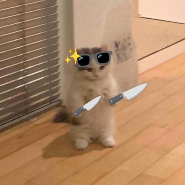 meme mèo cầm dao (24)