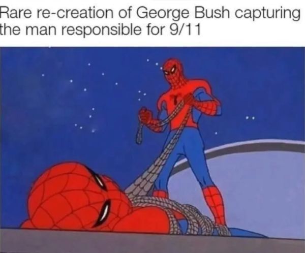 meme spiderman