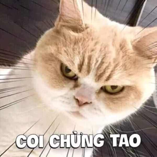 meme tức giận (12)