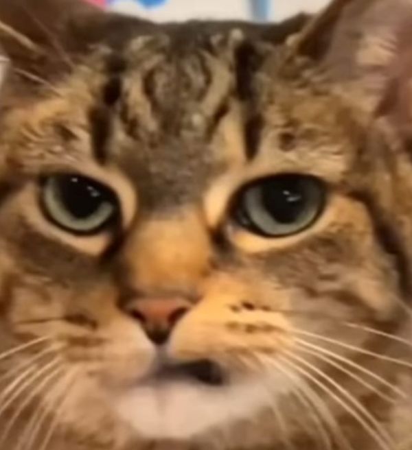 meme tức giận (14)