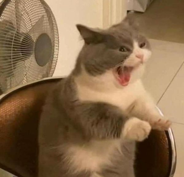 meme tức giận (16)