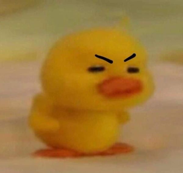 meme tức giận (22)