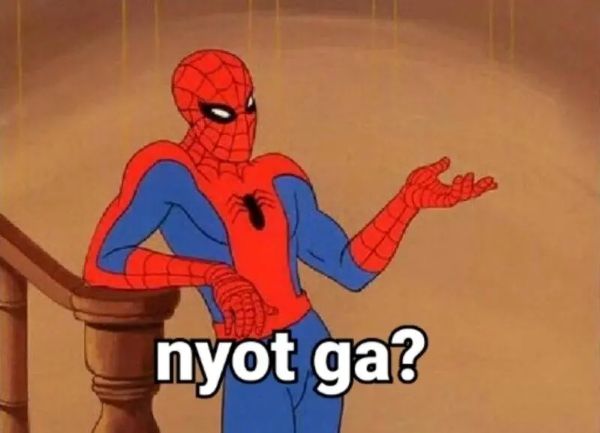 spiderman meme (10)