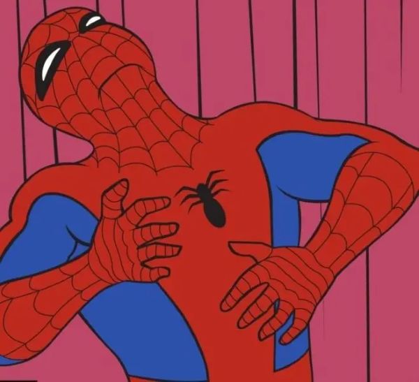 spiderman meme (11)