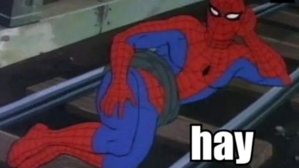 spiderman meme (12)