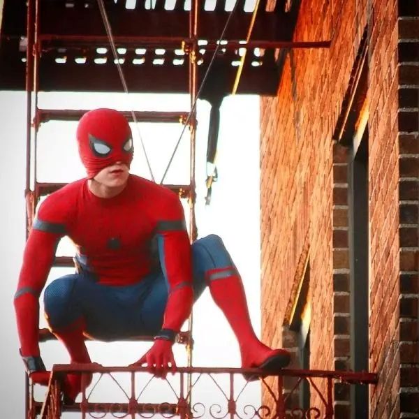 spiderman meme (15)