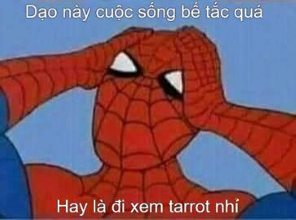 spiderman meme (23)