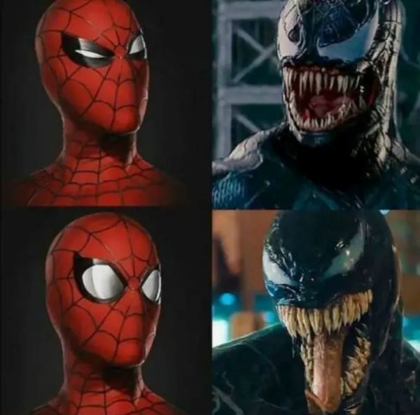 spiderman meme (5)