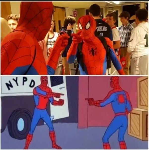 spiderman meme (8)