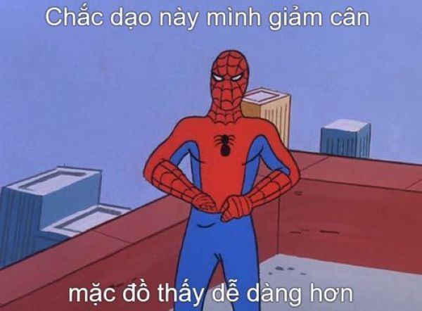 spiderman meme