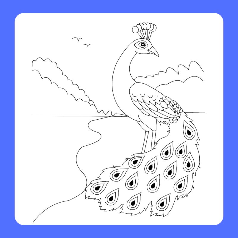 tô màu con công (10)