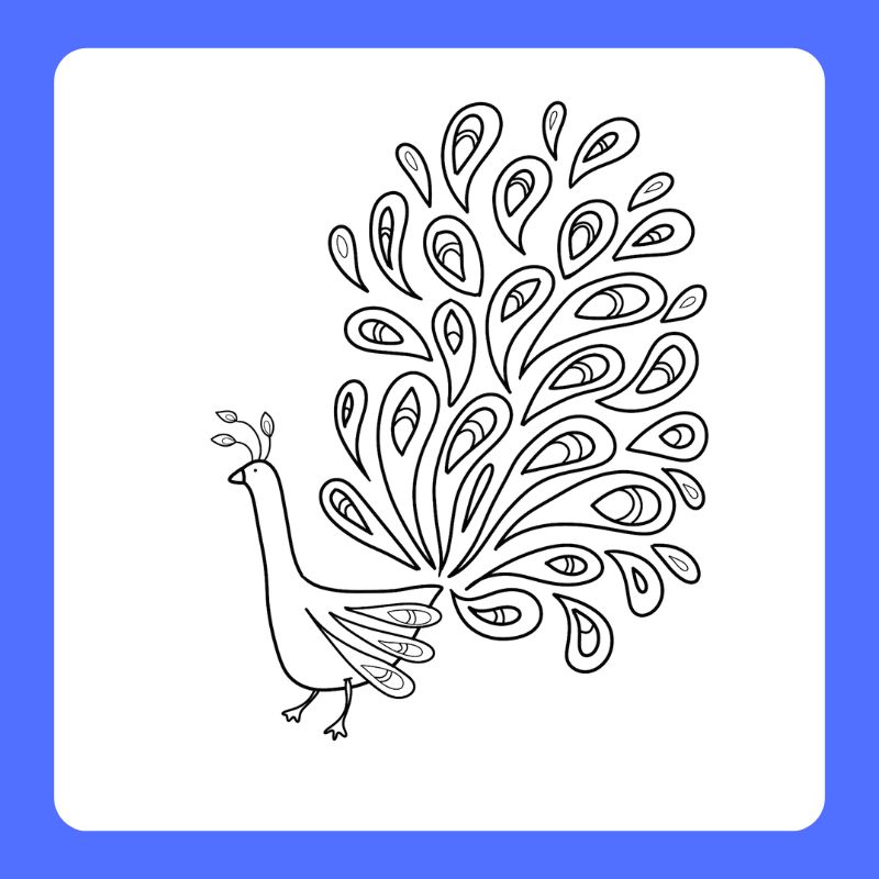 tô màu con công (14)