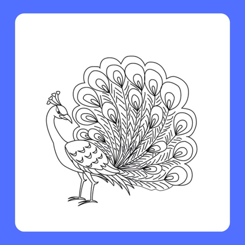 tô màu con công (15)