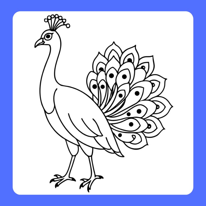 tô màu con công (7)