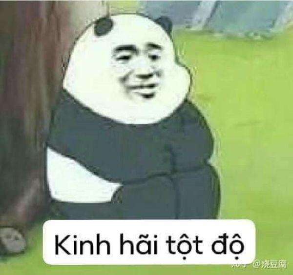 Meme sợ hãi tột độ