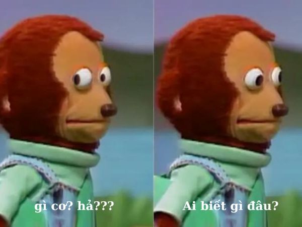 ai biết gì đâu meme (12)