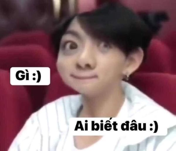 ai biết gì đâu meme (17)