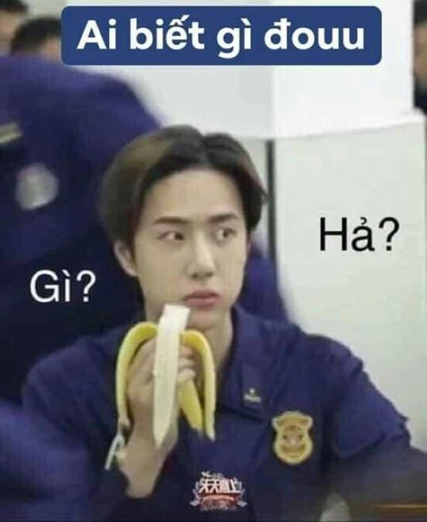 ai biết gì đâu meme (22)