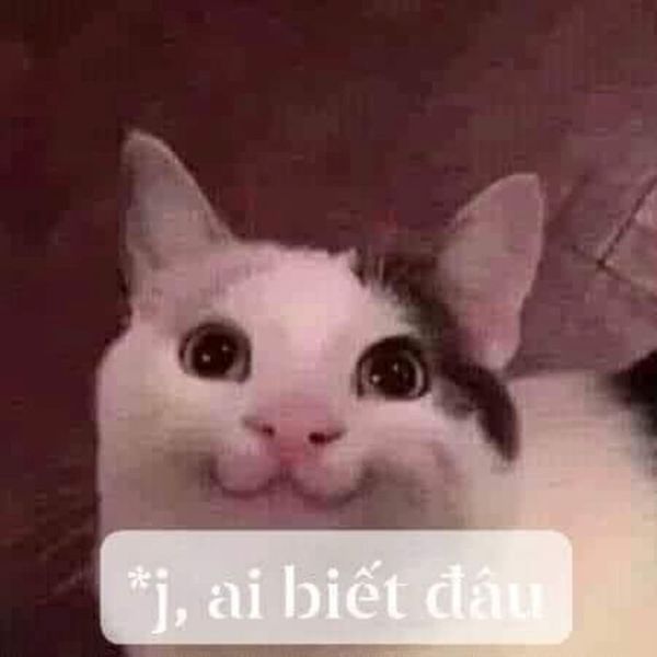 ai biết gì đâu meme (25)