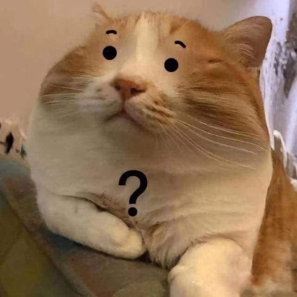 ai biết gì đâu meme (4)