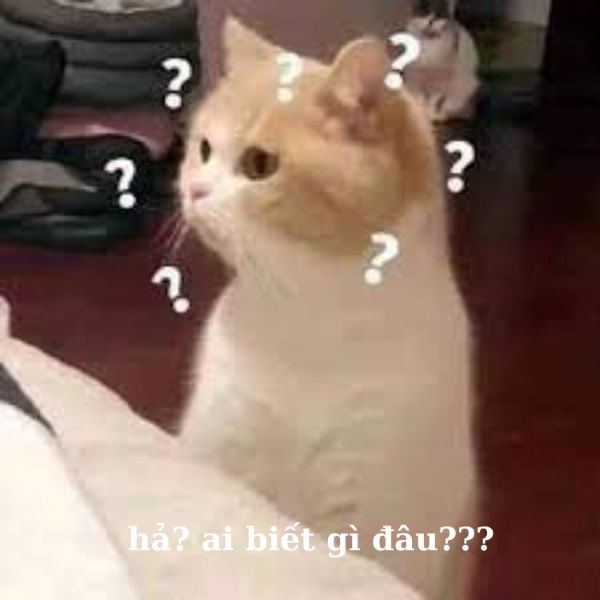 ai biết gì đâu meme (6)