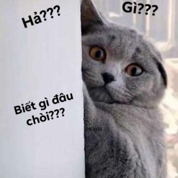 ai biết gì đâu meme (8)