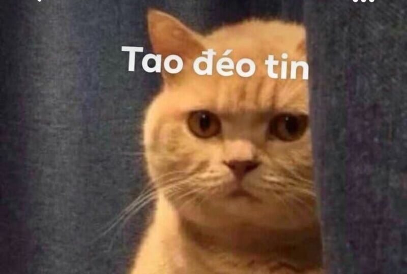 đéo meme
