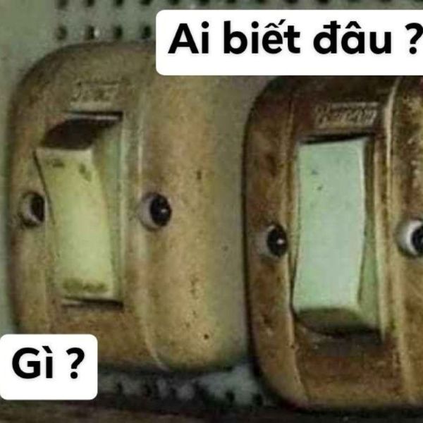 gì ai biết đâu meme