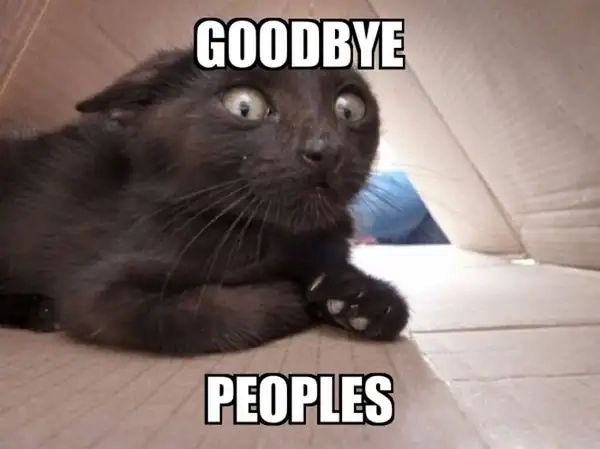 goodbye meme (13)
