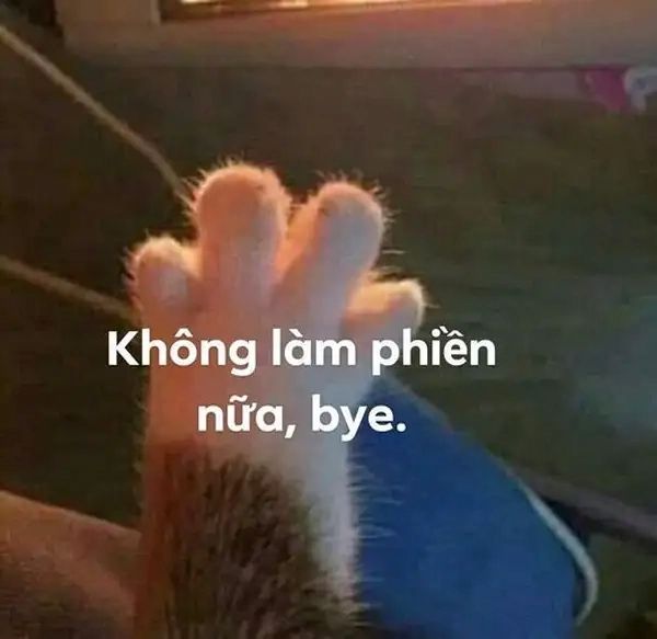 goodbye meme (4)