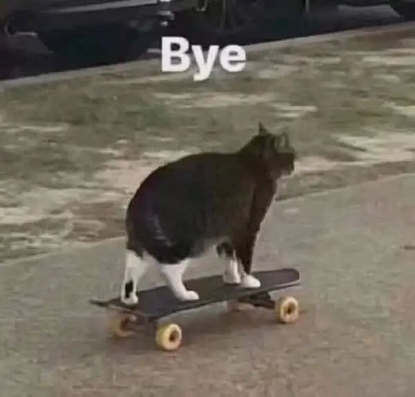 goodbye meme (8)
