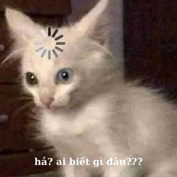 hả gì ai biết đâu meme