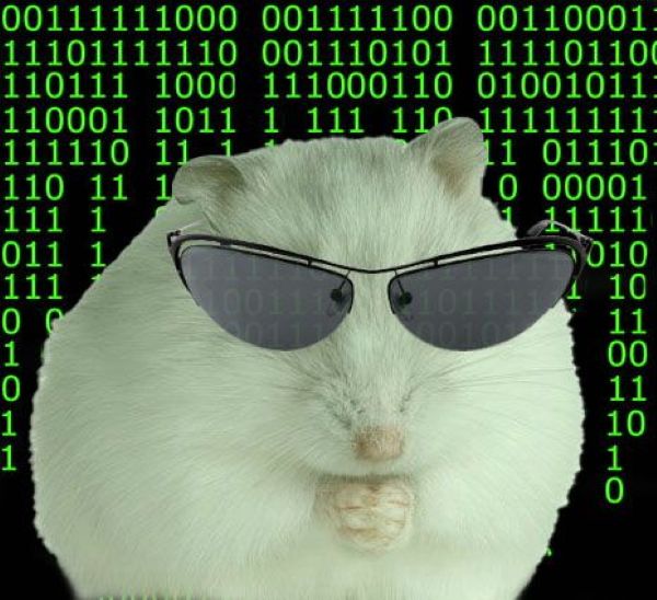 hacker meme (14)