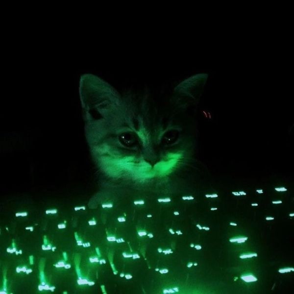 hacker meme (2)