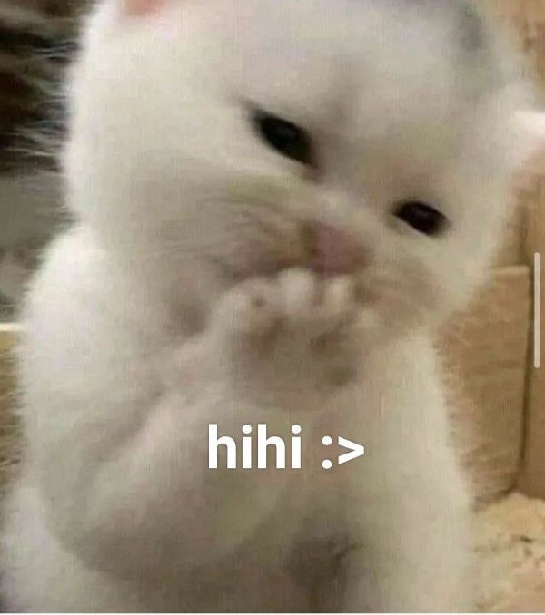 hihi meme (10)
