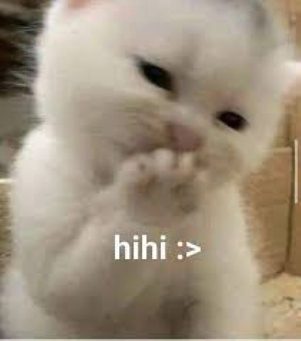 hihi meme (20)