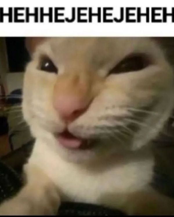 hihi meme (9)