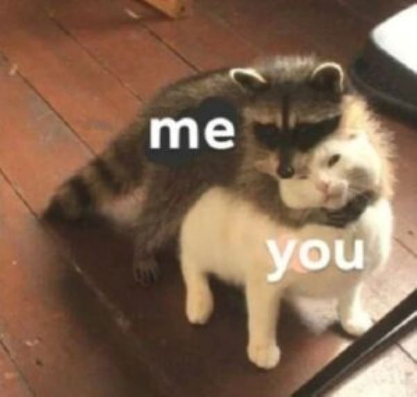 hug meme (20)