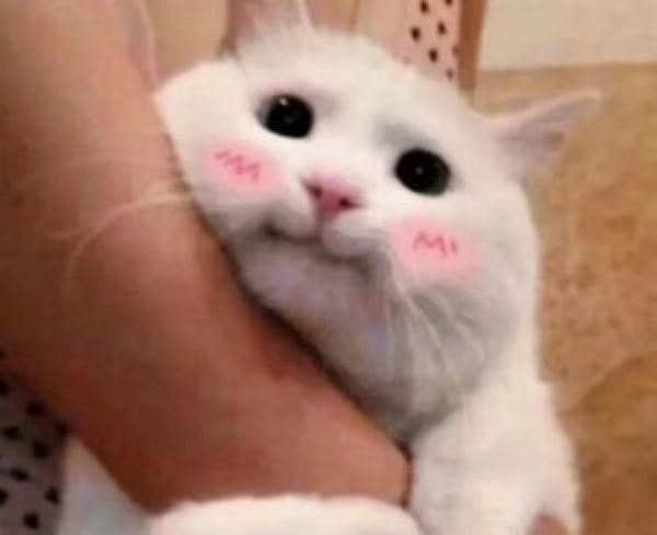 hug meme (3)