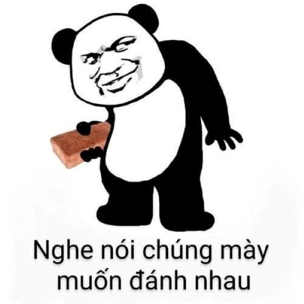 meme ảnh đánh nhau