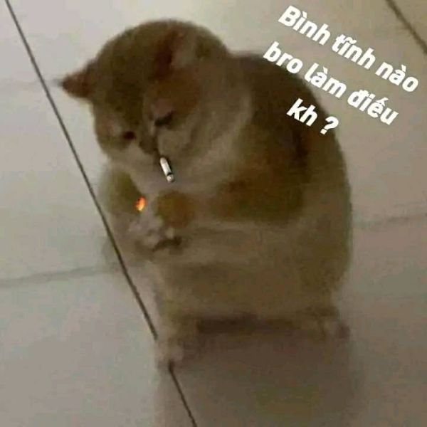 meme bình tĩnh (13)
