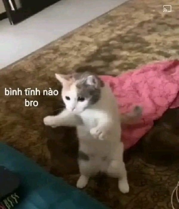 meme bình tĩnh (3)