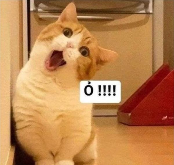 meme cảm động (1)