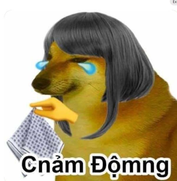 meme cảm động (2)