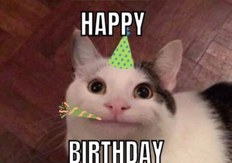 meme chúc mừng sinh nhật (26)