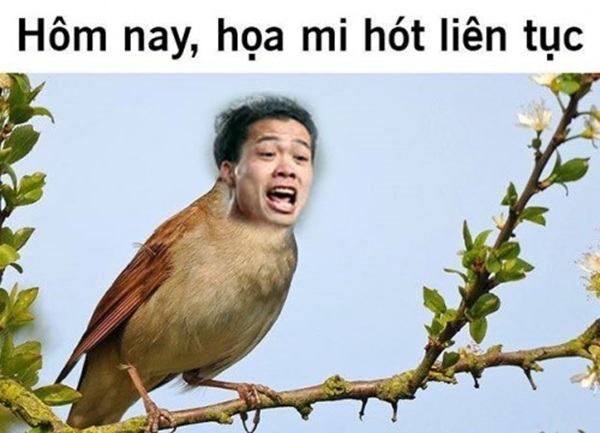 meme công phượng (20)