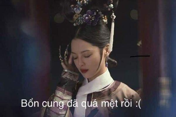 meme cung đấu (10)