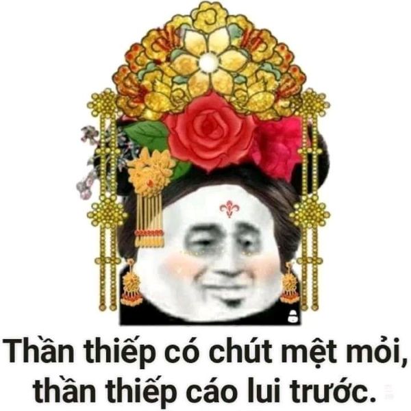 meme cung đấu (19)
